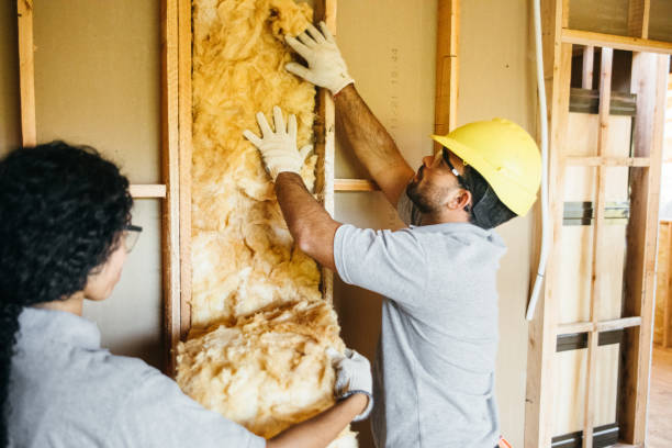 Best Garage Insulation  in USA